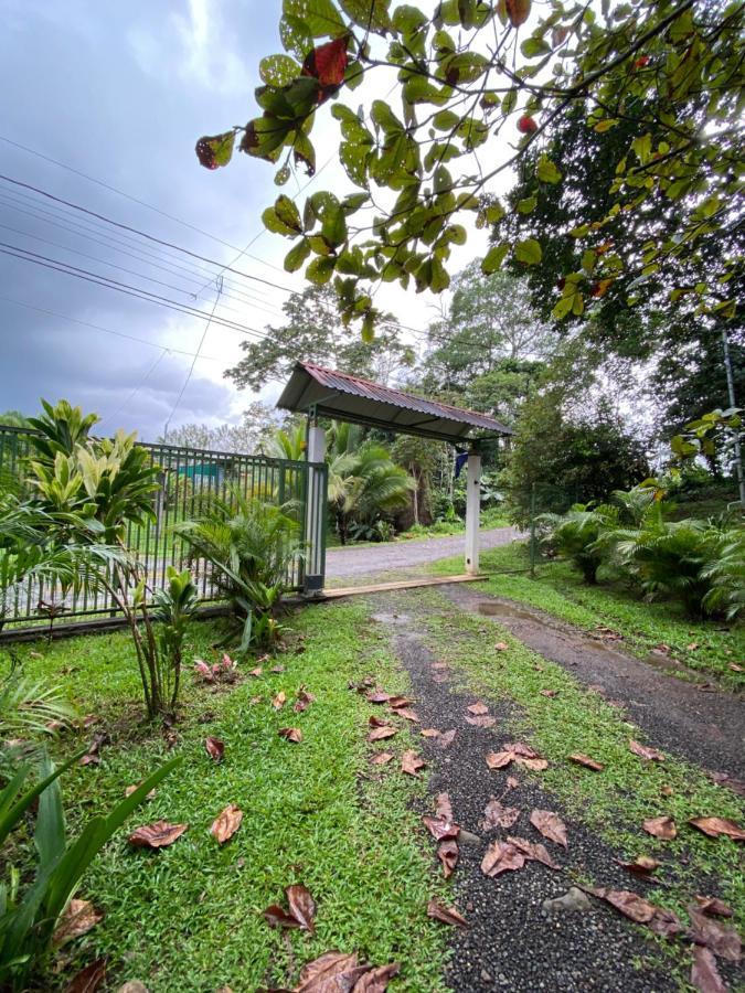 Campo Verde House, La Fortuna De San Carlos Esterno foto