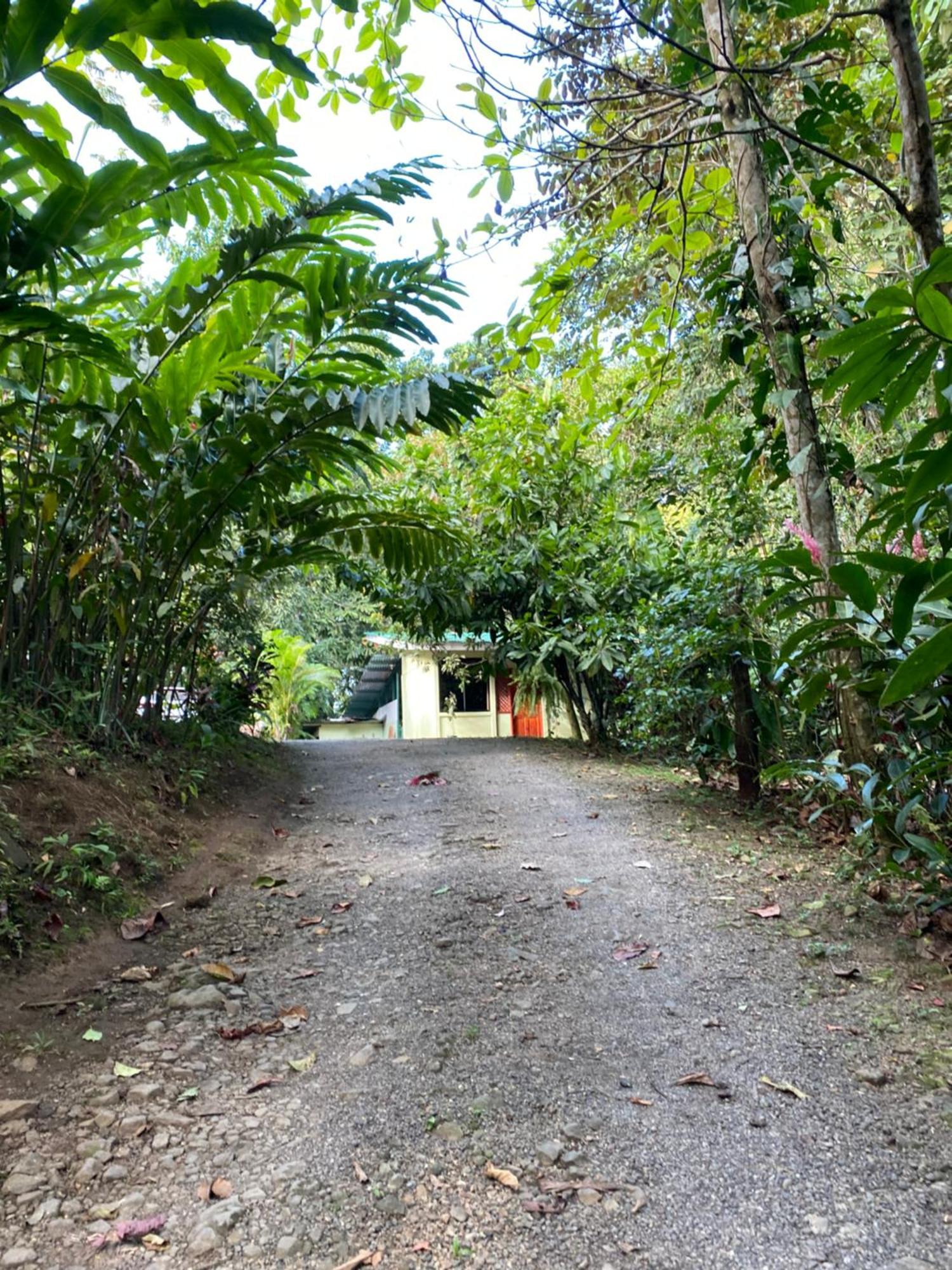 Campo Verde House, La Fortuna De San Carlos Esterno foto